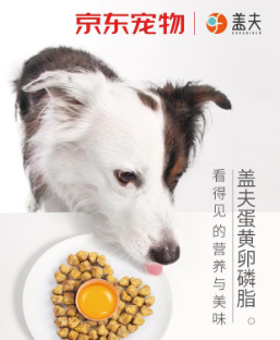 盖夫携手京东宠物，上海地铁掀起宣传热潮 