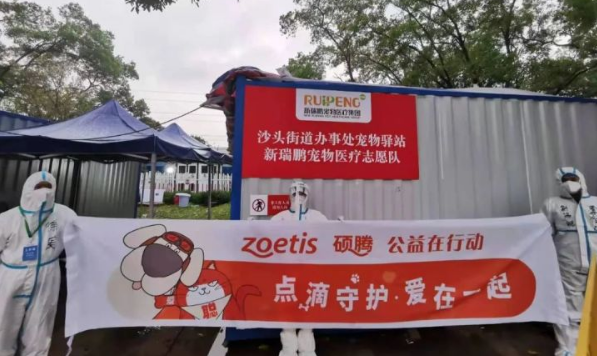 硕腾捐赠欣宠克至宠物方舱，给留守的毛孩子满满守护