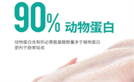 宠物健康，主人有责，凯锐思优质宠粮，让养宠更加无忧