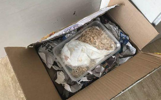 上网购买花枝鼠，不料送来后不尊重生命的样子，网友超级生气