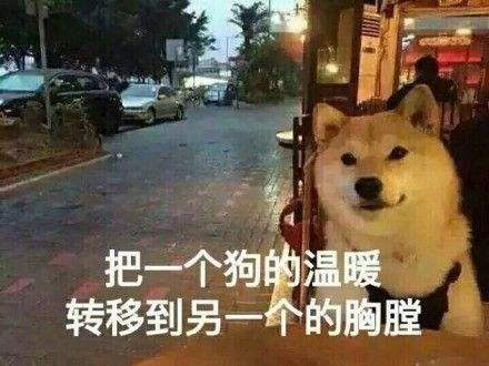 图片9.png