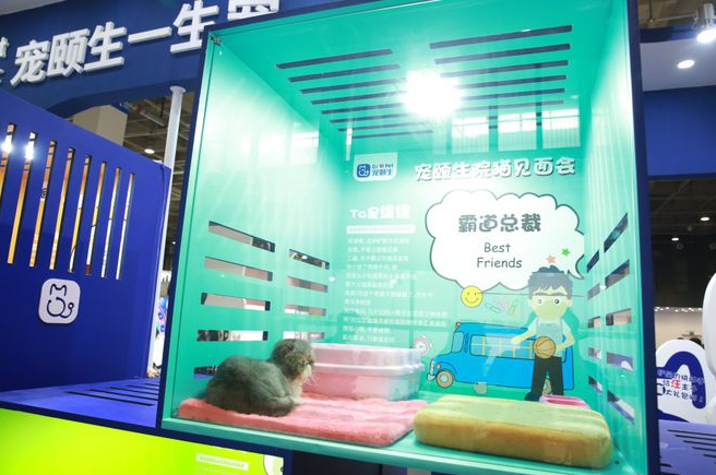 暖心“故事盒子”亮相长城展，宠颐生给流浪猫狗一个温暖的家