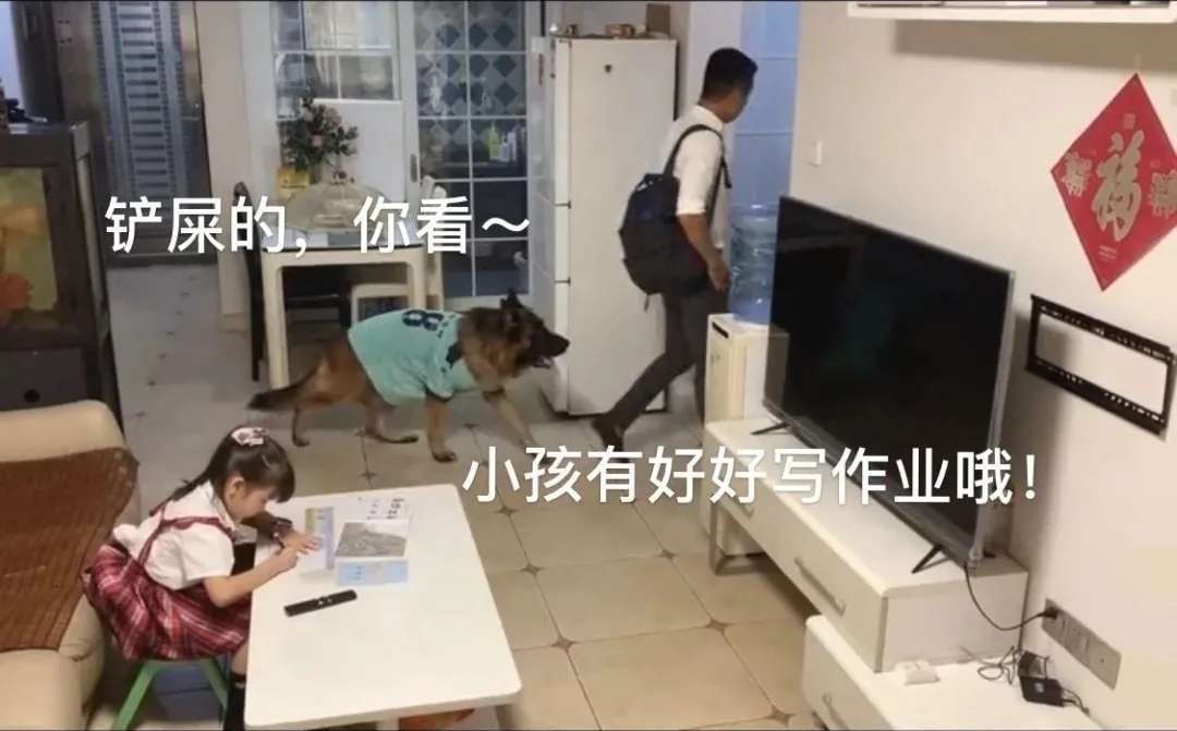 这只狗狗成精了！竟然帮小主人放风~