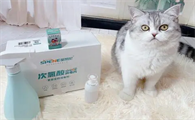 今日解答，84消毒液对猫咪有害吗？