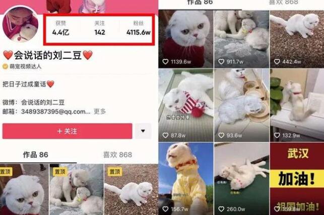 一只狗直播月入百万，宠物太吸金了