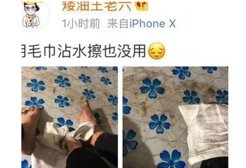 小主人弄撒了大人的化妆品，结果柴犬光荣的成了“替罪汪”！