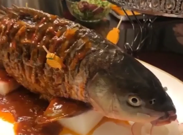 饭店上一条鱼，看起来美味，看清后：这吃不下去