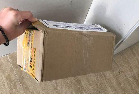 上网购买花枝鼠，不料送来后不尊重生命的样子，网友超级生气