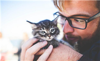 盖夫更新盖夫化毛膏，宠物猫咪健康有保障
