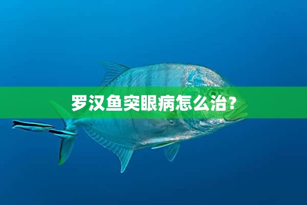 罗汉鱼突眼病怎么治？