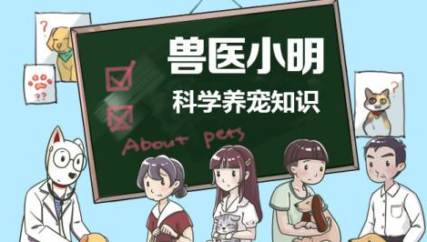 家中猫咪感冒了，能喂食人的感冒药？别让关心害了它