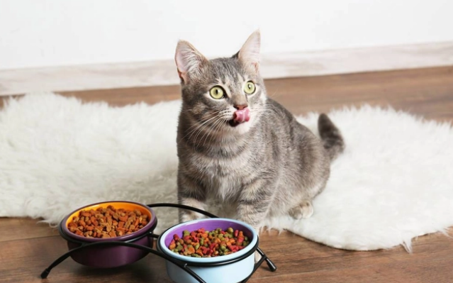 四款猫粮对比：妙修vs馋不腻vs素力高vs宠率