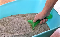 猫砂的用途，来了解下吧