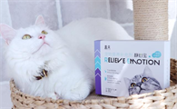 猫咪有应激反应？盖夫静心宝有效缓解