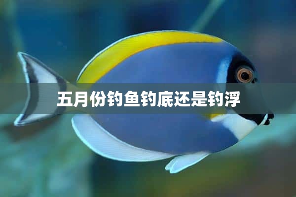 五月份钓鱼钓底还是钓浮