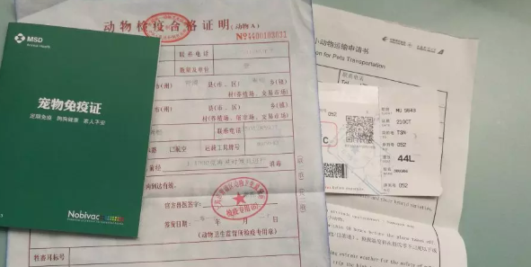 今日科普：狗狗检疫证在哪里办？