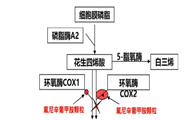 兽药知识｜氟尼辛葡甲胺颗粒的功效与用药方案