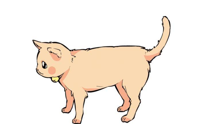 猫咪的尾巴会说话，教你轻松读懂猫咪语言！