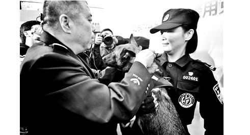 年纪小“功夫”高 北京市公安局首批警用克隆犬正式入警