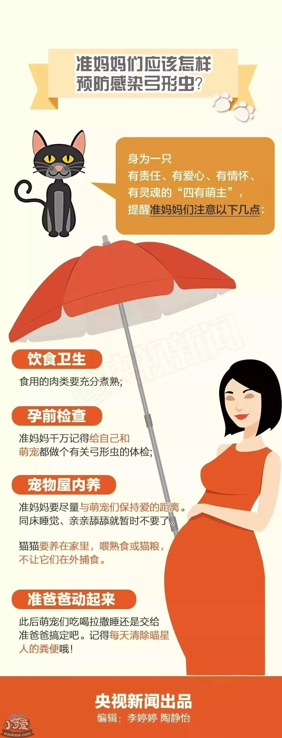 怀孕养猫对胎儿有什么影响 你还在相信这些谣言吗