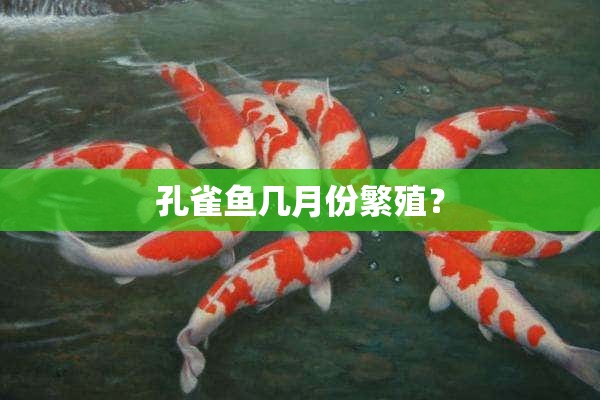 孔雀鱼几月份繁殖？