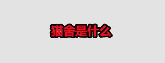 猫舍是什么