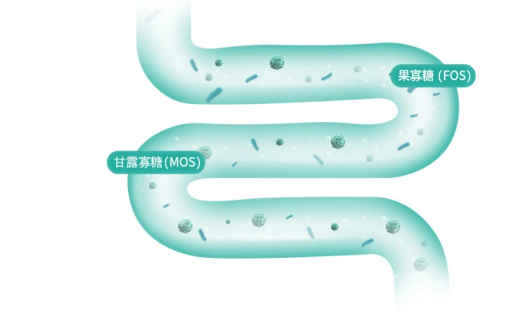 凯锐思专宠专用，助力猫咪科学饮食