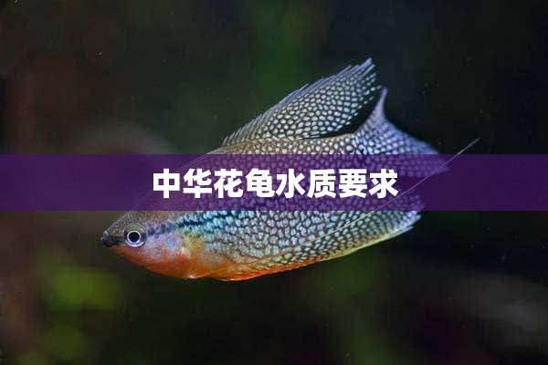 中华花龟水质要求