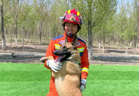 新疆消防救援总队全国第七届消防搜救犬比武备战侧记