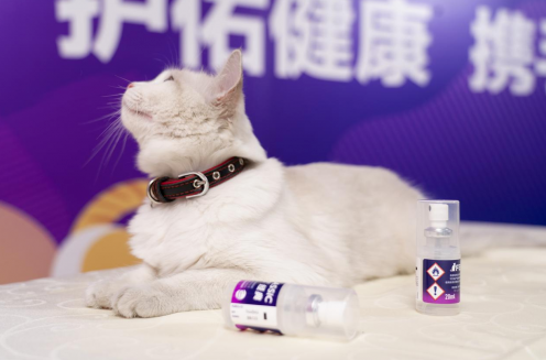 费利威天猫旗舰店隆重开业，千万猫咪家庭健康升级