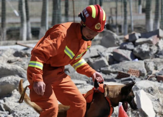 新疆消防救援总队全国第七届消防搜救犬比武备战侧记