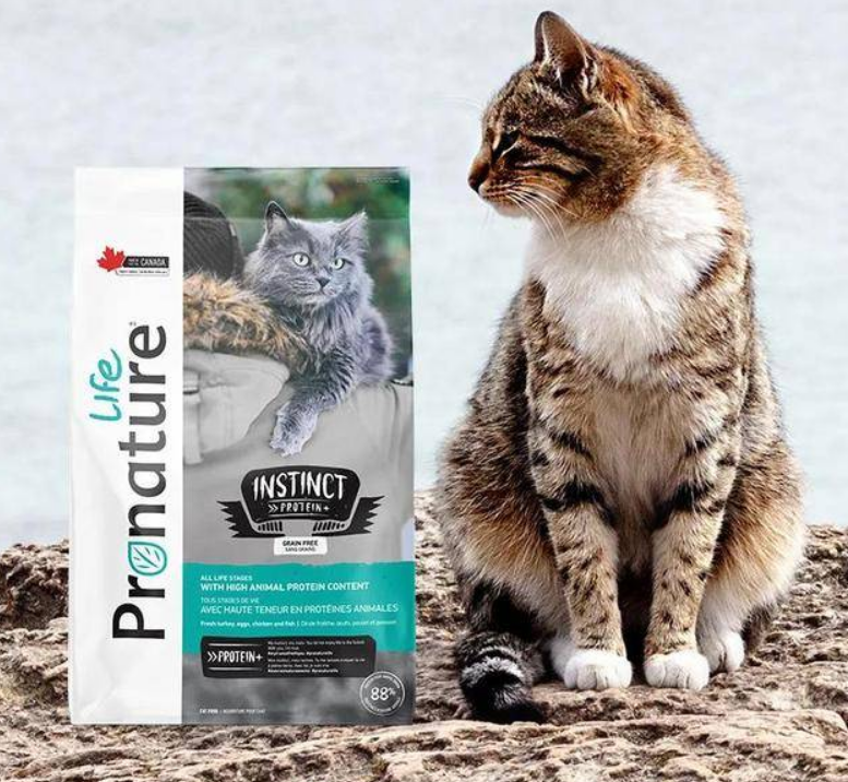 中国首发，加拿大品牌枫趣推出高蛋白猫粮新品