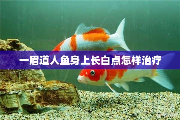 一眉道人鱼身上长白点怎样治疗