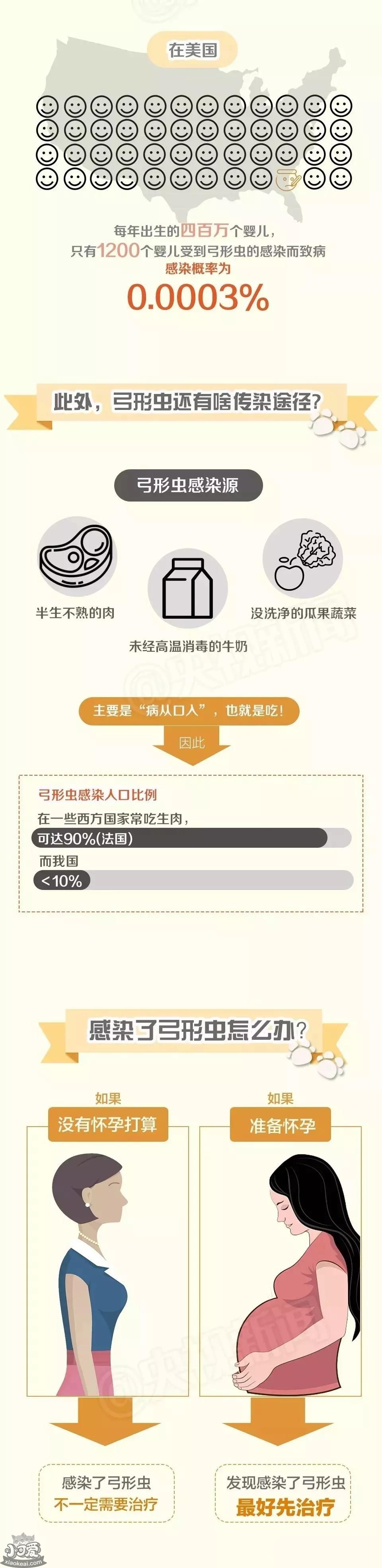 怀孕养猫对胎儿有什么影响 你还在相信这些谣言吗