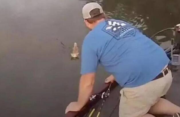 渔夫河中意外捞出一只橘猫，几分钟后又捞出一只，还都是活的！ 