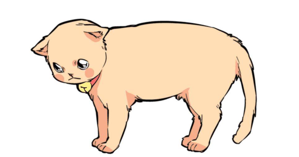 猫咪的尾巴会说话，教你轻松读懂猫咪语言！