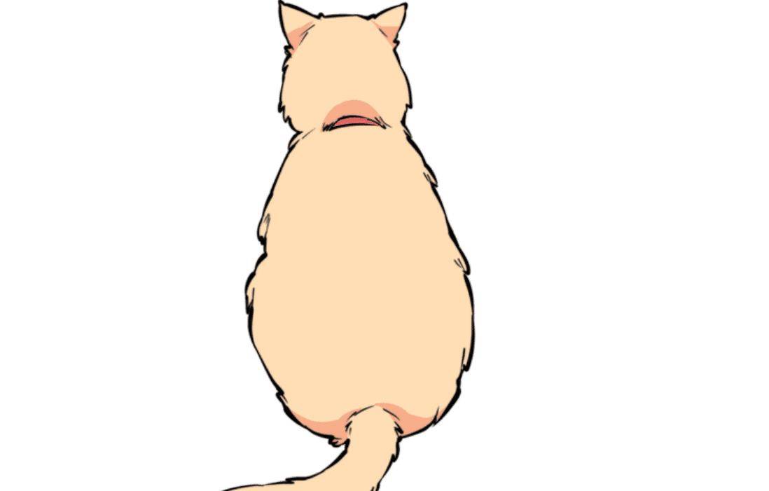 猫咪的尾巴会说话，教你轻松读懂猫咪语言！
