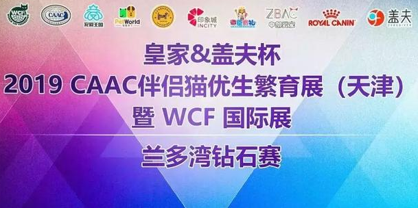 天津2019CAAC国际展，盖夫陪你沉迷猫界盛世美颜