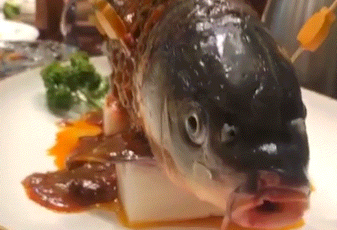 饭店上一条鱼，看起来美味，看清后：这吃不下去