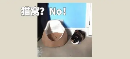 给猫咪买了一个猫窝，它却毫无兴趣，这是为什么啊？
