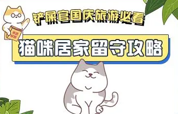 国庆长假，猫咪寄养还是带回家？猫咪居家留守攻略