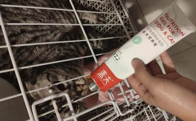 盖夫化毛膏——关爱宠物肠胃健康，调理内循环