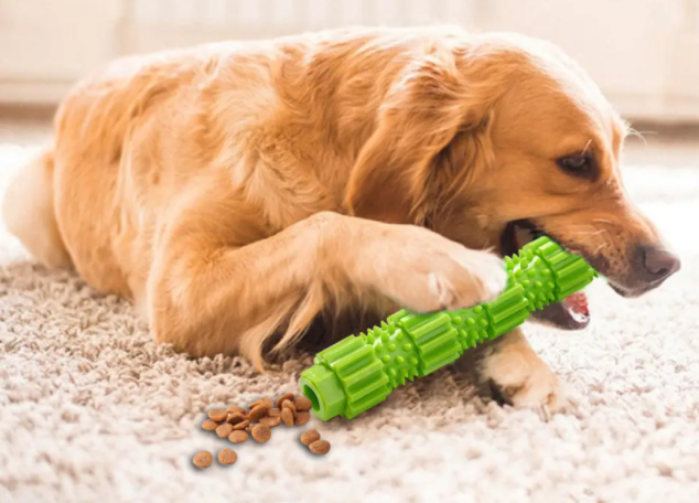为什么狗狗玩具重要