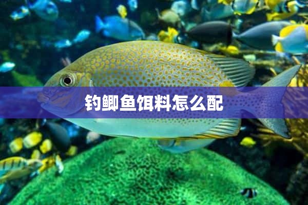 钓鲫鱼饵料怎么配