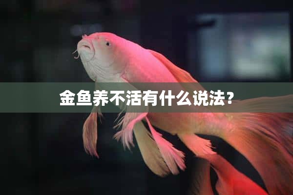 金鱼养不活有什么说法？