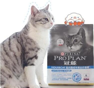 冠能怎么样？7年养宠达人有话说