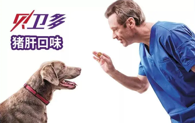 宠物如何驱虫？狗狗驱虫优选用贝卫多！