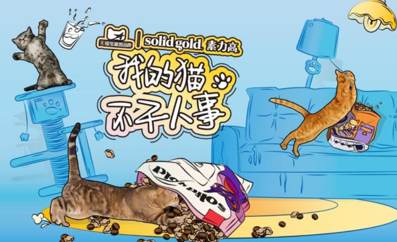 重磅新品对接千亿级宠物市场，素力高创新发力玩转营销新模式！