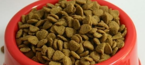 超市中常见的宝路狗粮怎么样？详细介绍看一下~