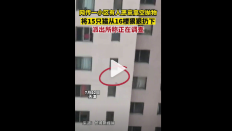 天津一小区15只猫坠亡 警方回应：猫咪受惊从窗户跃下